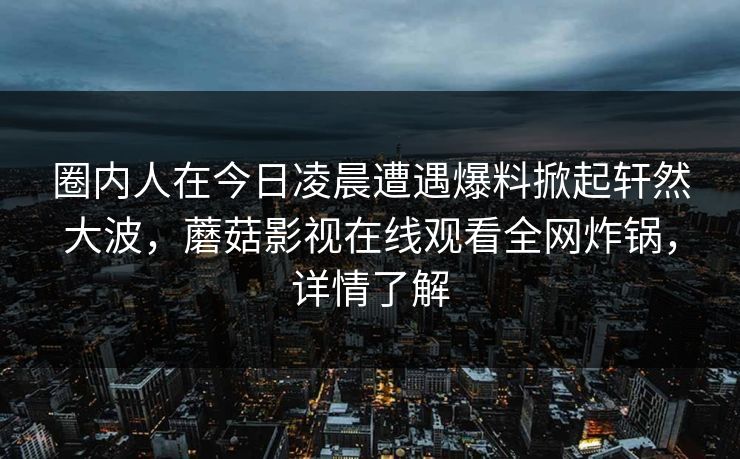 圈内人在今日凌晨遭遇爆料掀起轩然大波，蘑菇影视在线观看全网炸锅，详情了解