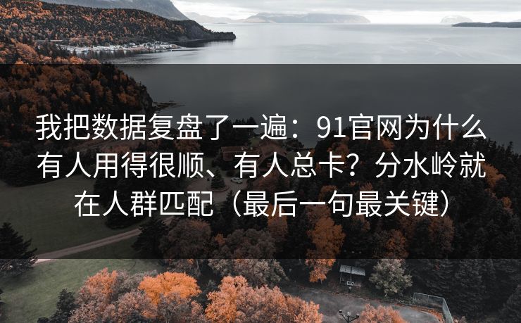 我把数据复盘了一遍：91官网为什么有人用得很顺、有人总卡？分水岭就在人群匹配（最后一句最关键）