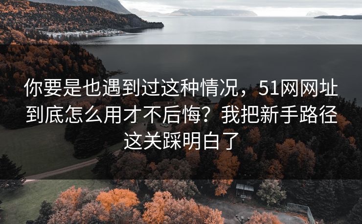 你要是也遇到过这种情况，51网网址到底怎么用才不后悔？我把新手路径这关踩明白了