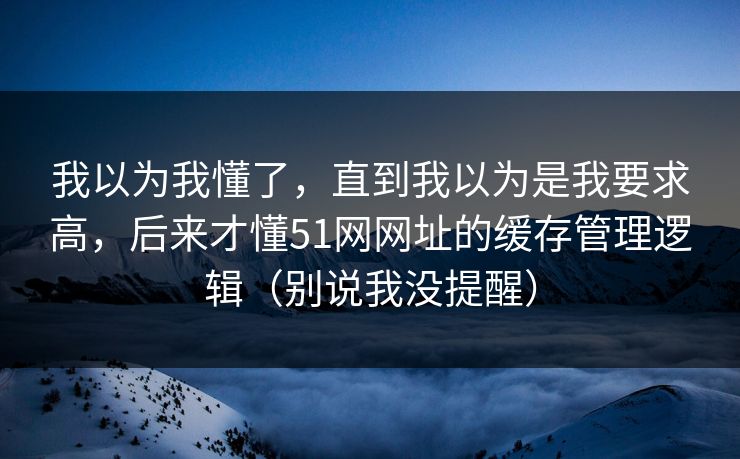 我以为我懂了，直到我以为是我要求高，后来才懂51网网址的缓存管理逻辑（别说我没提醒）